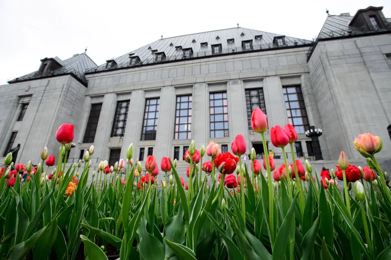 Supreme Court of Canada to rule on French language education rights | CBC News