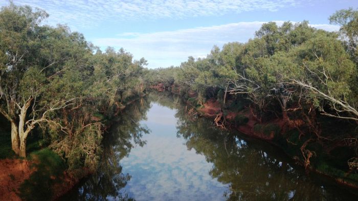 Spiritual dam plan linked to Andrew Forrest most current to fall under examination