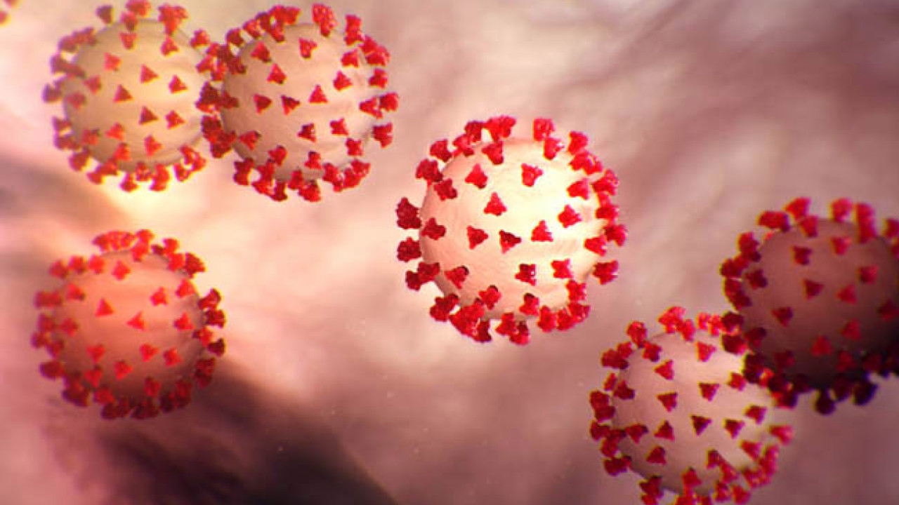 NC might not enter phase 3 at end of June as cases of COVID-19 spike