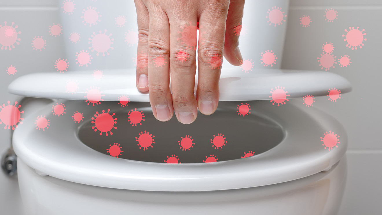 ‘It’s very disconcerting!’ You’ll never ever leave the toilet lid up once again after reading this