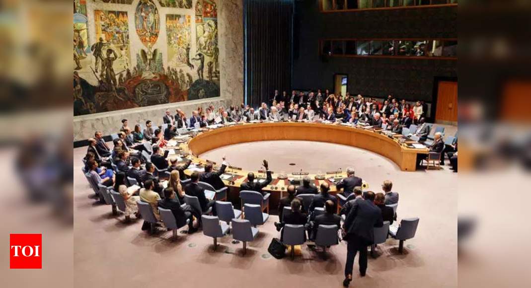 India elected non-permanent member of UN Security Council