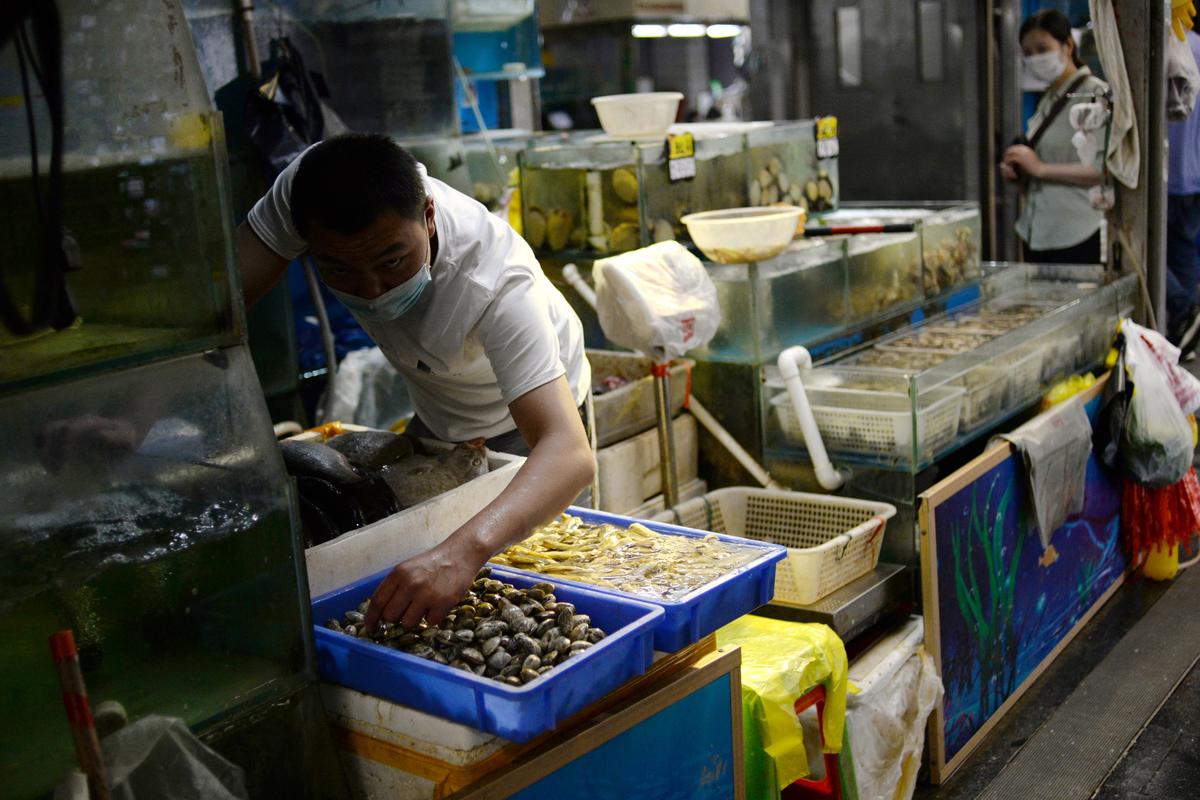 China finds heavy coronavirus traces in seafood, meat sections of Beijing grocery store