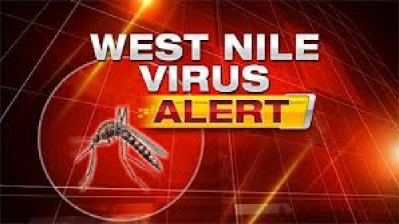 West Nile Infection confirmed in Santa Clara County