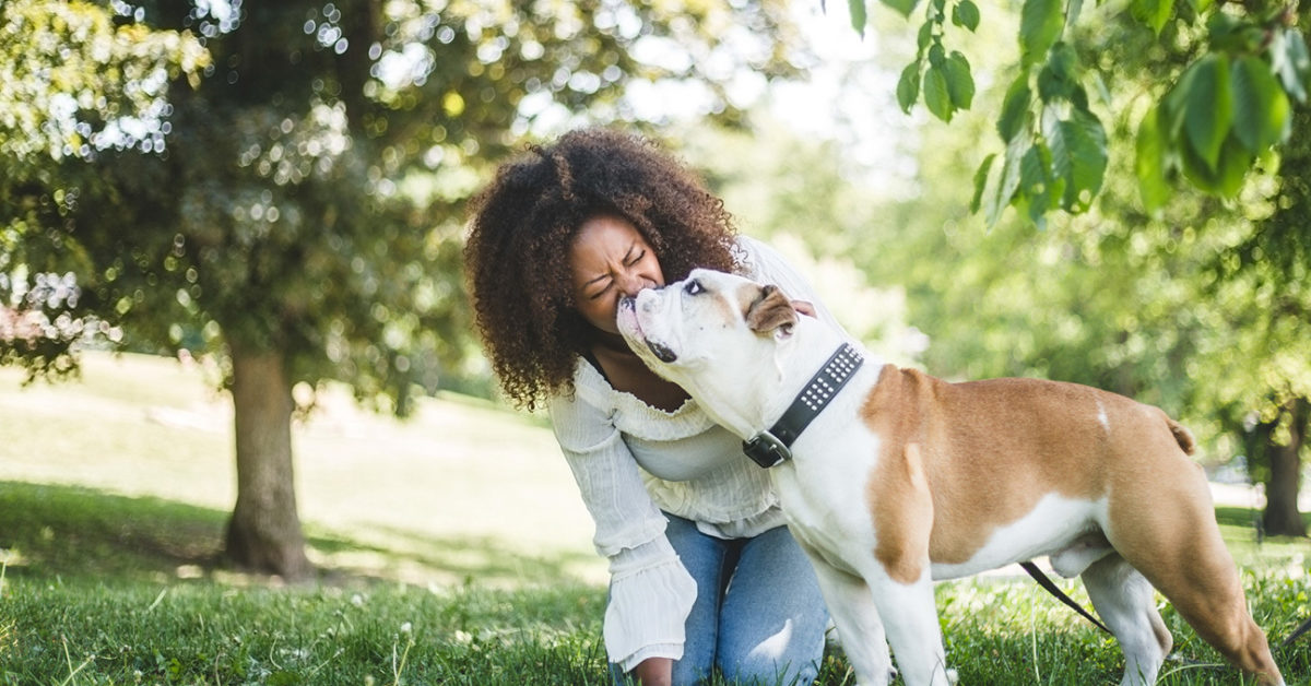 Canines will attempt to save their owners if they can