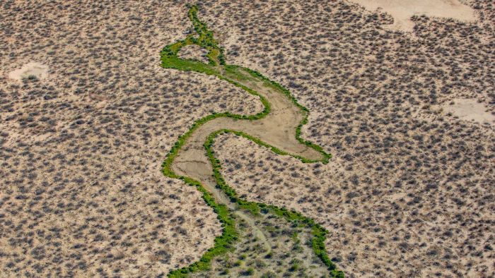 ‘It can be disgusting’: NSW purchases outback station for substantial new national forest