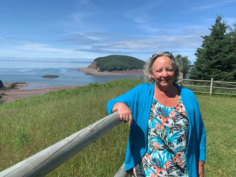 Cliffs of Fundy, Bonavista Peninsula named UNESCO Global Geoparks | CBC News