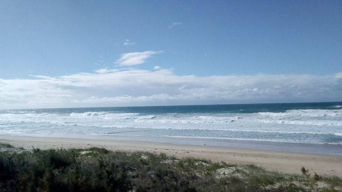 Teen killed in shark attack near Coffs Harbour