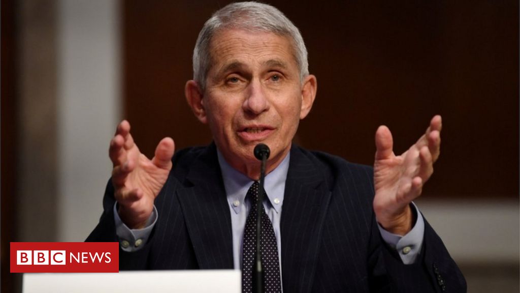 White Home targets US illness chief Fauci