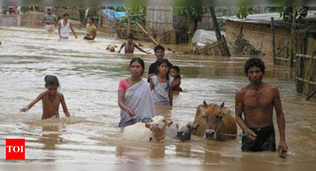 Assam flood situation remains grim; 5 more dead, nearly 36 lakh affected