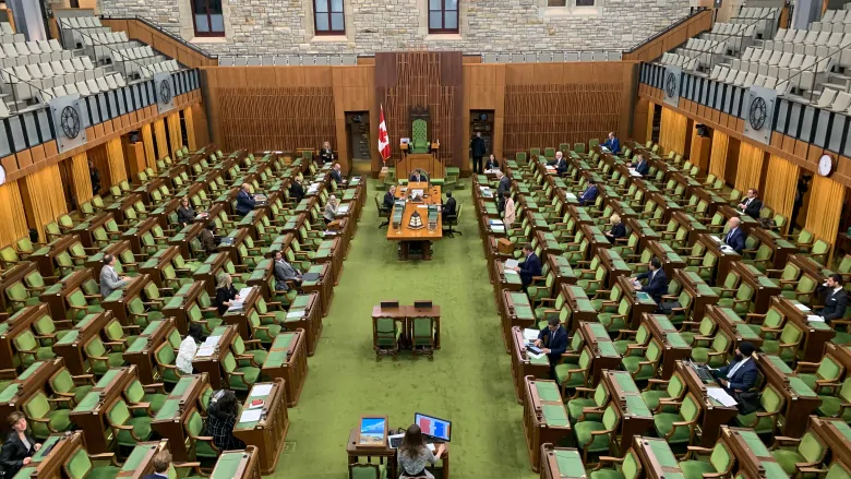 Commons to convene Monday to debate wage subsidy extension, disability payments | CBC News