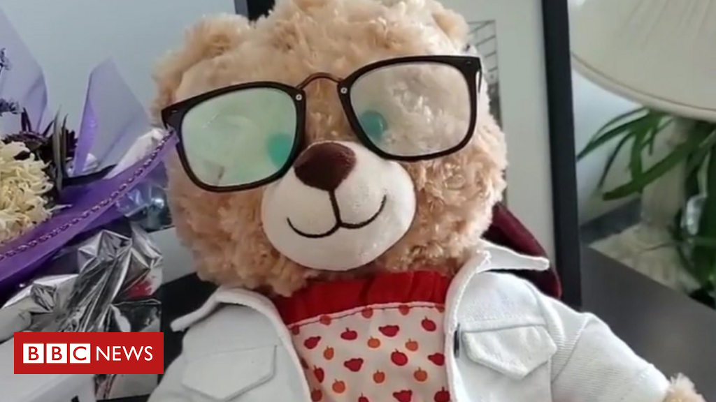 Superstars seek stolen teddy with passing away mum’s voice