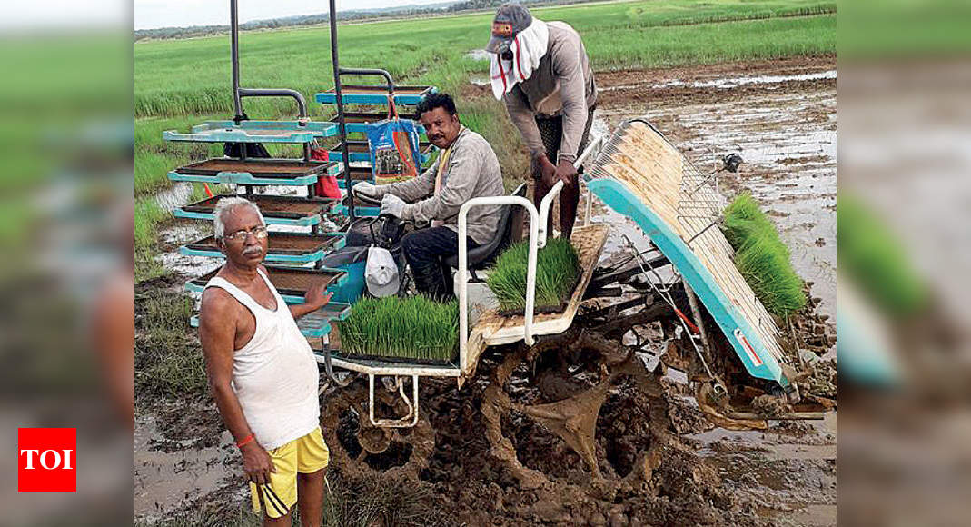 After lockdown blues, Goans on a mission to grow more greens