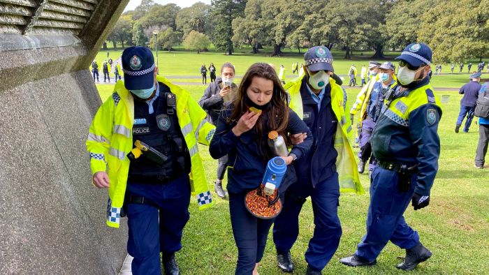 At least three protesters detained at Sydney Black Lives Matter march