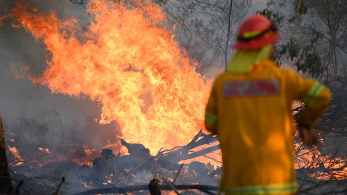 Fossil fuel industry levy should pay for bushfire impact, climate action group report says