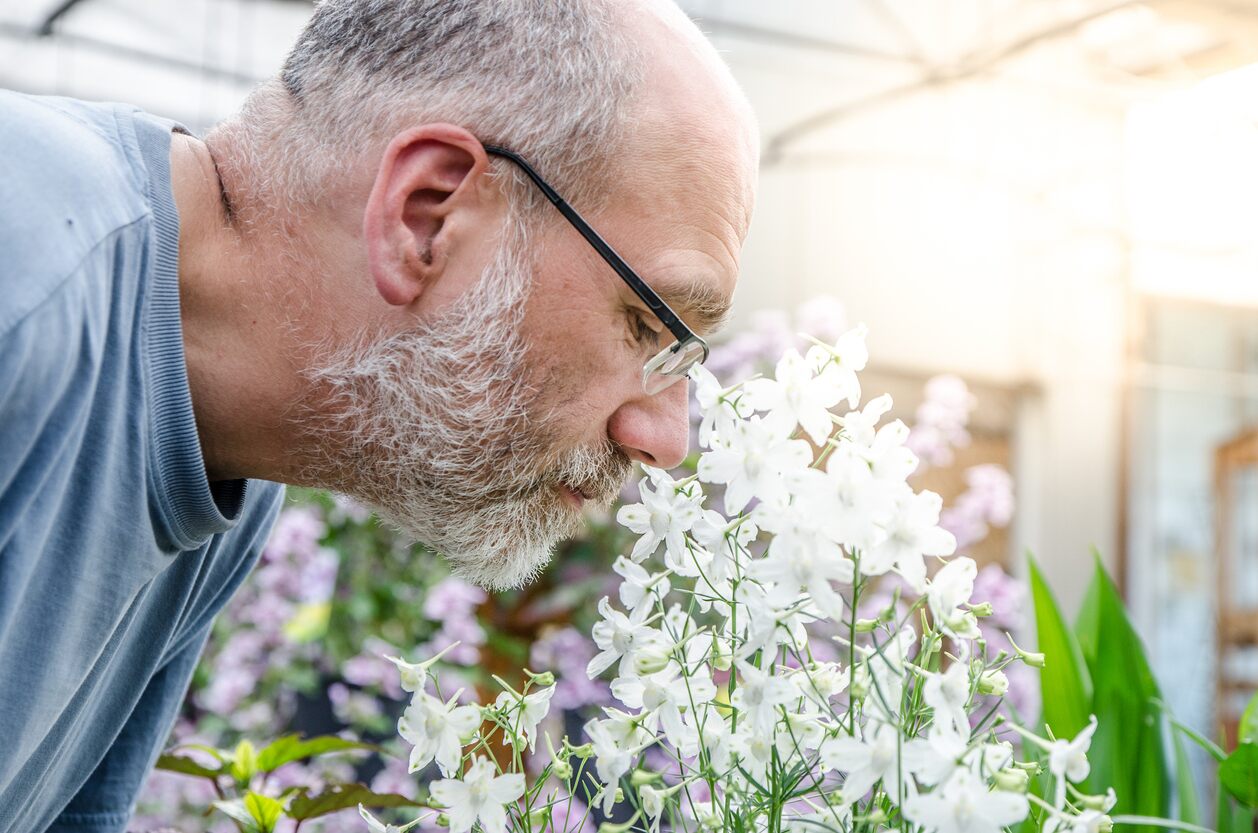 Why do some coronavirus patients lose sense of odor? Harvard scientists have a response