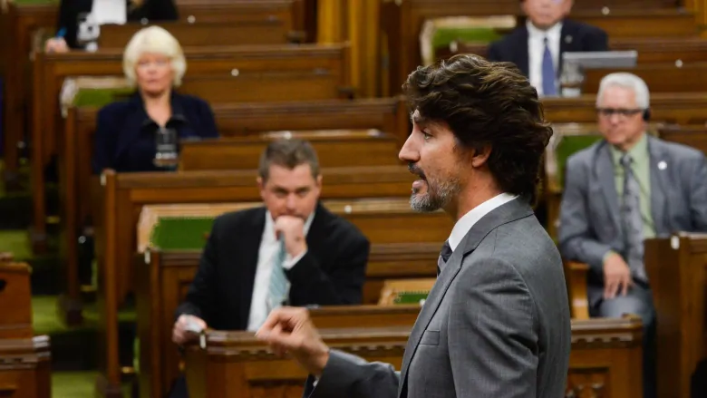 Trudeau’s appearance before committee may not shed new light on WE controversy, experts say | CBC News