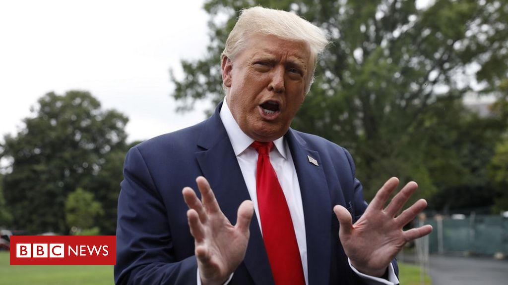 Trump says he will prohibit TikTok in the US