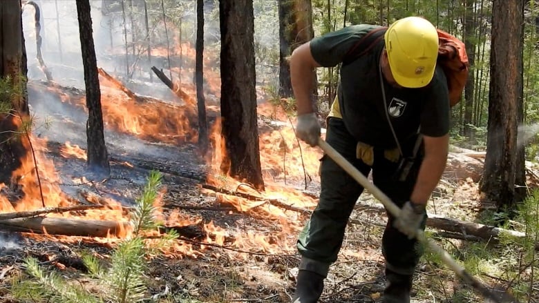 Peat fires, like those raging in Siberia, will become more common in Canada | CBC Radio