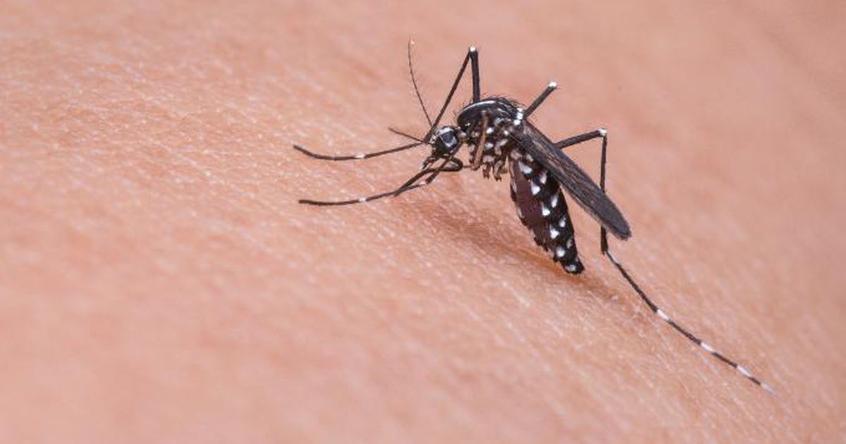 DeKalb officials detect West Nile virus in 5 locations