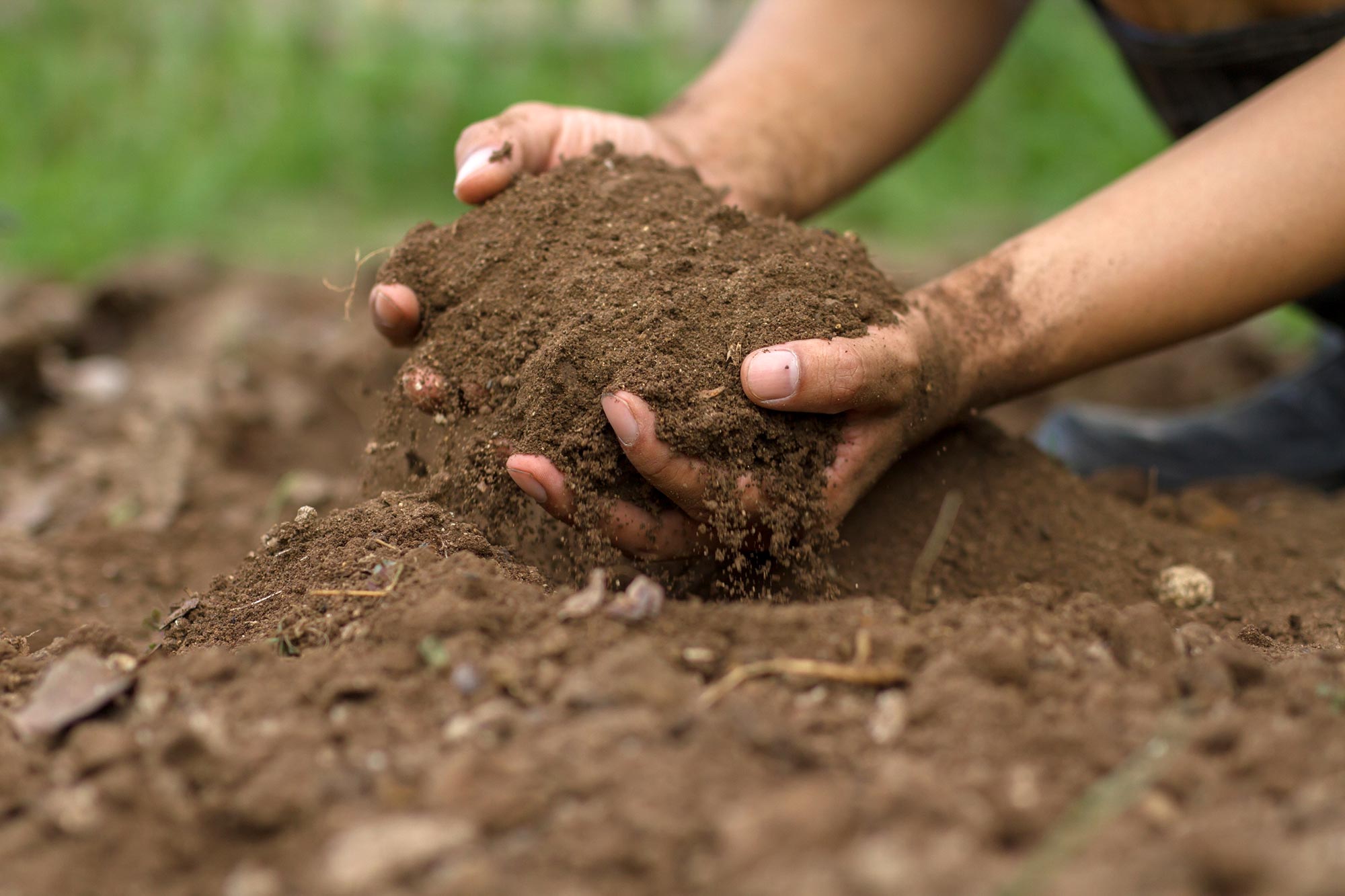 New Drugs for Bad Bugs: From Rare Soil Microbe, a New Antibiotic Candidate for Drug-Resistant Infections