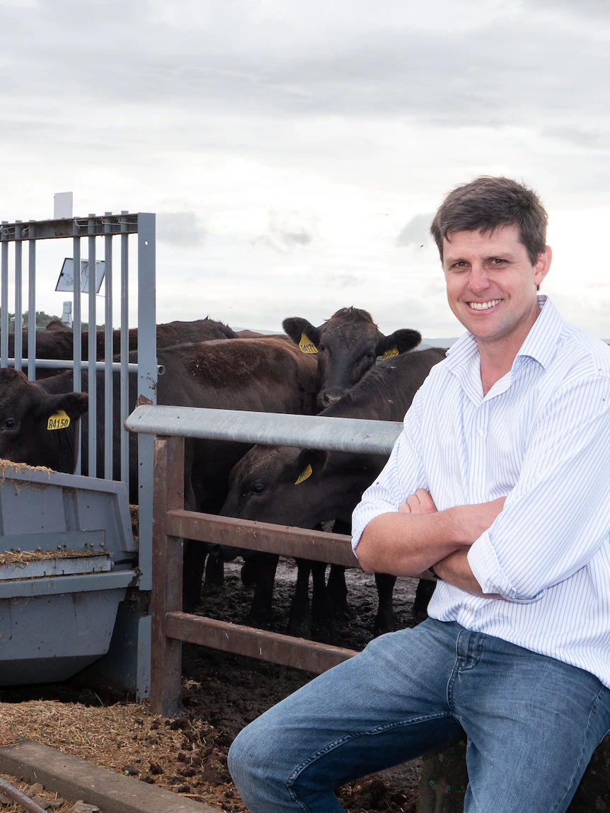 Raising steaks with a lower carbon footprint: Researchers believe the response could be in genes