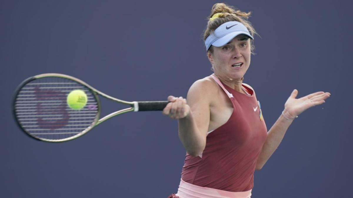 Don’t ban anti-warfare avid gamers: Svitolina