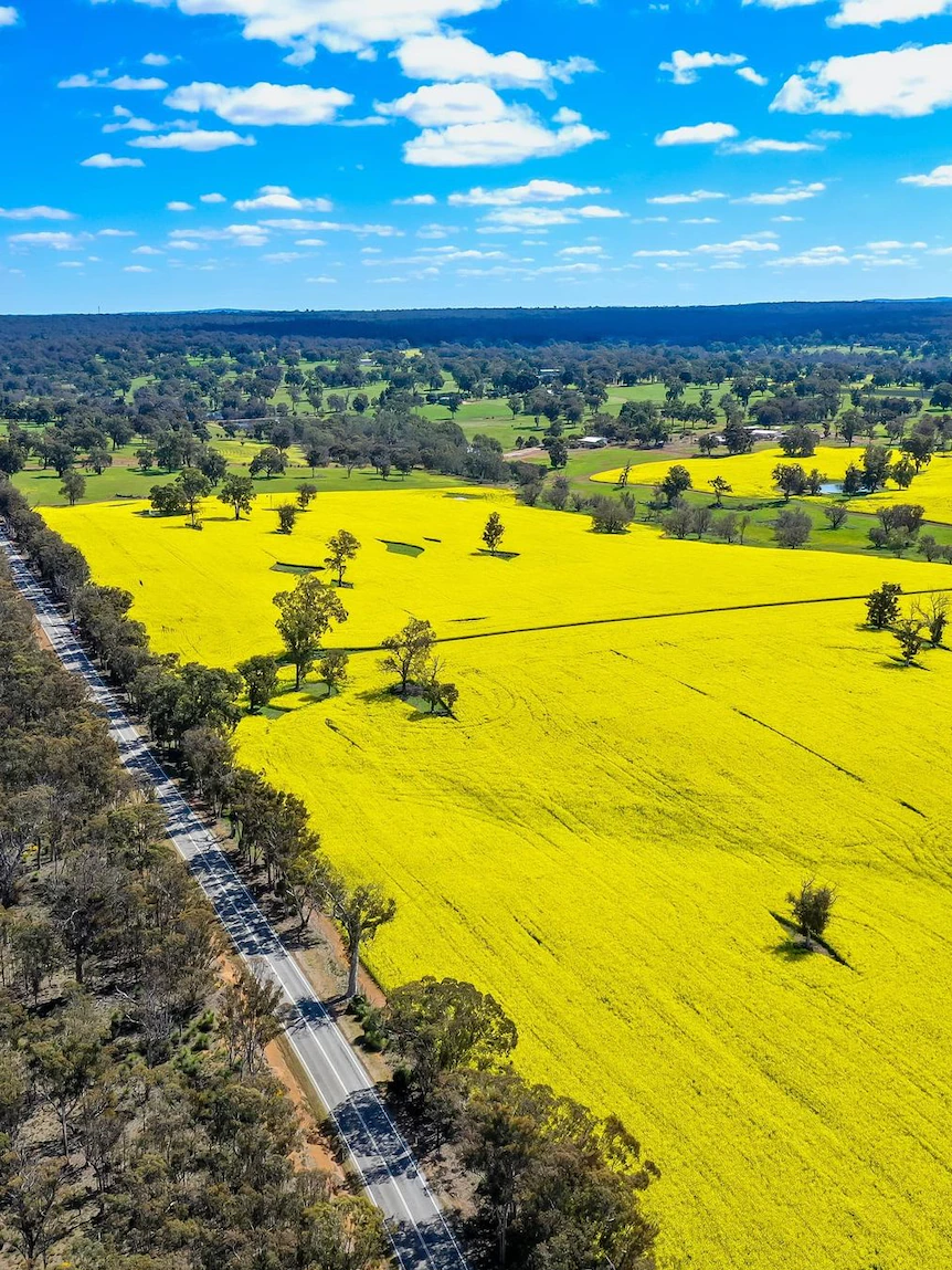 Australian agriculture is booming, so how design you make investments without procuring for a farm?