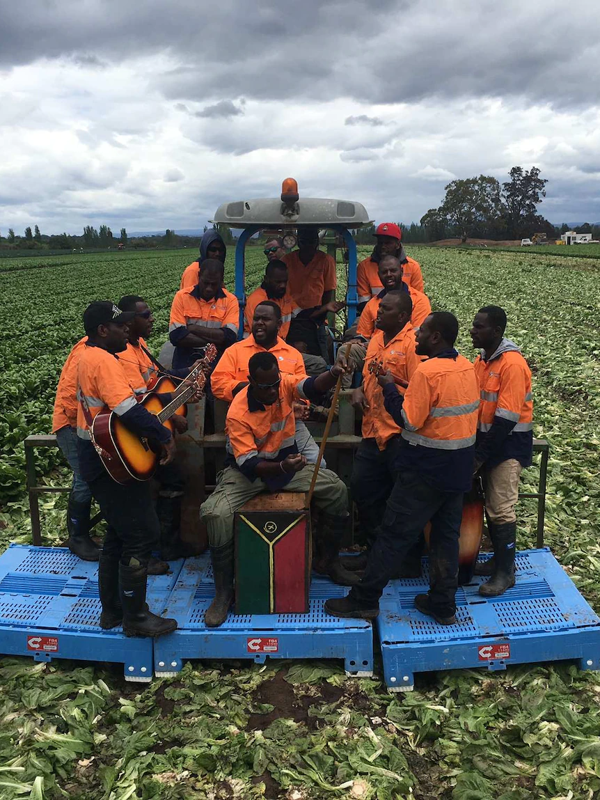 ‘An especially skilled job’: Minute farms display camouflage bigger discovering out opportunities for Pacific Islander workers