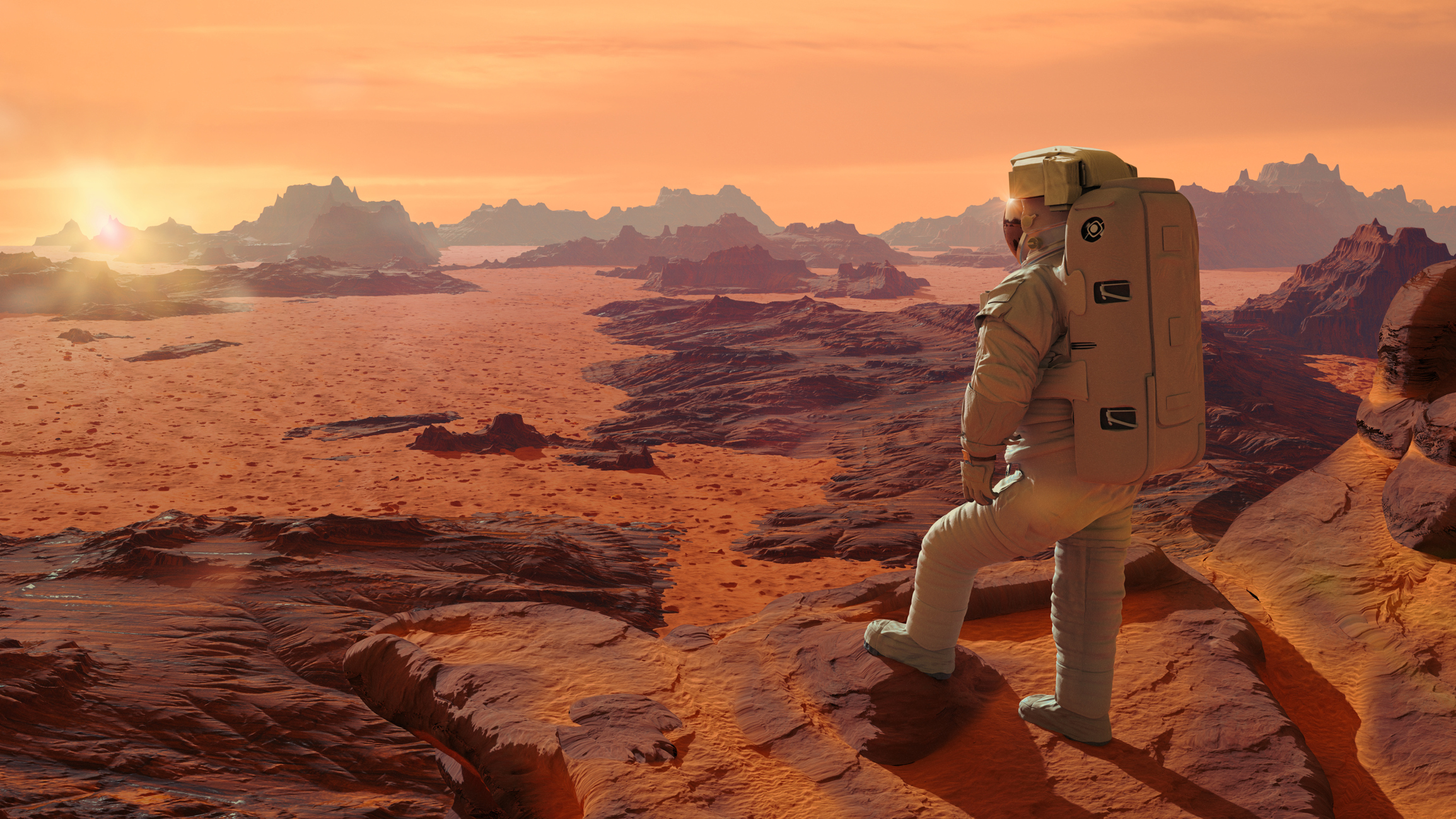 Building a house on Mars … with bacteria?