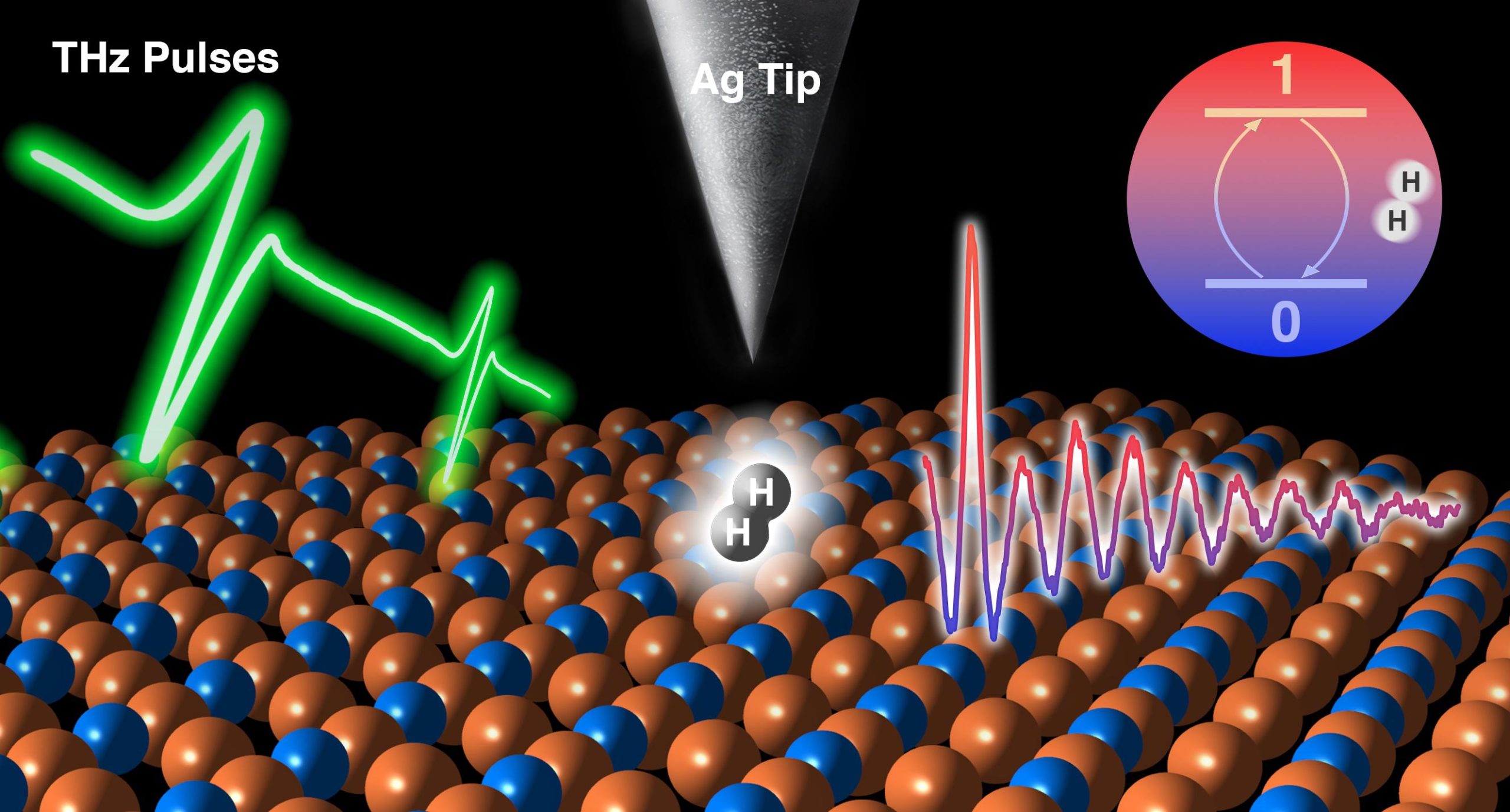 Hydrogen Molecule Grew to turn out to be Into a Quantum Sensor – With Unheard of Time and Spatial Resolutions