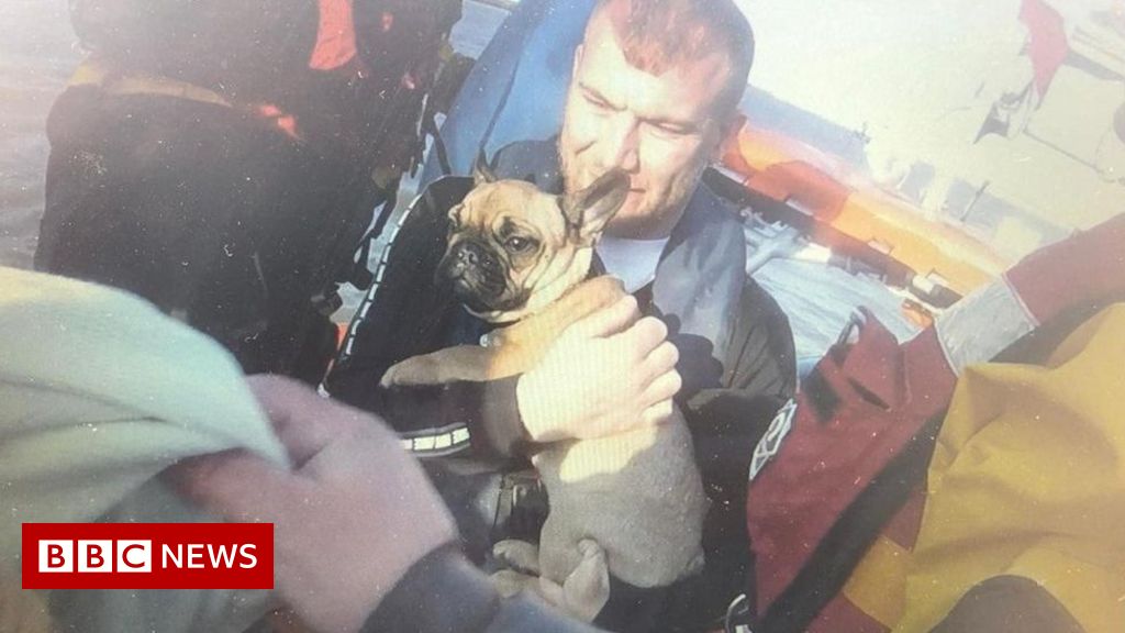 Breydon Water: Norfolk lifeboat crews rescue 17 other folks and three pets