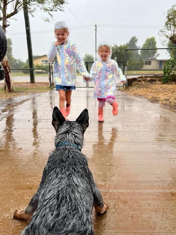 ‘An absolute godsend’: Uncommon April drenching a ‘reward’ for drought-hit outback Queensland