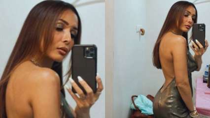 Malaika Arora sizzles in fearless backless costume, shares judge selfie