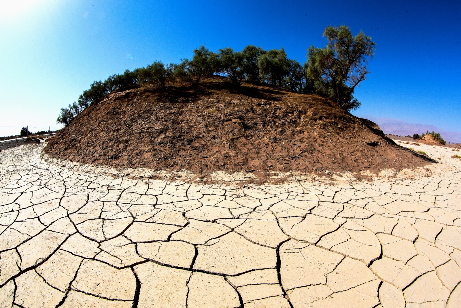 UN file: Of us have wrecked 40% of the total land on Earth