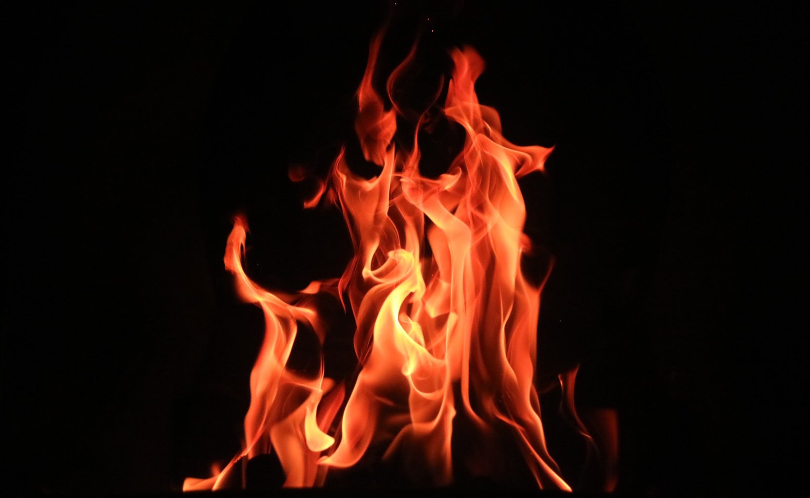 Buddhist views on suicide examined after climate activist self-immolated on Earth Day