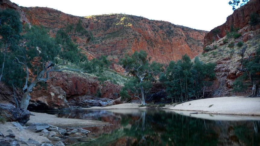 Man, 73, survives cardiac arrest on remote Central Australian hike – ABC News