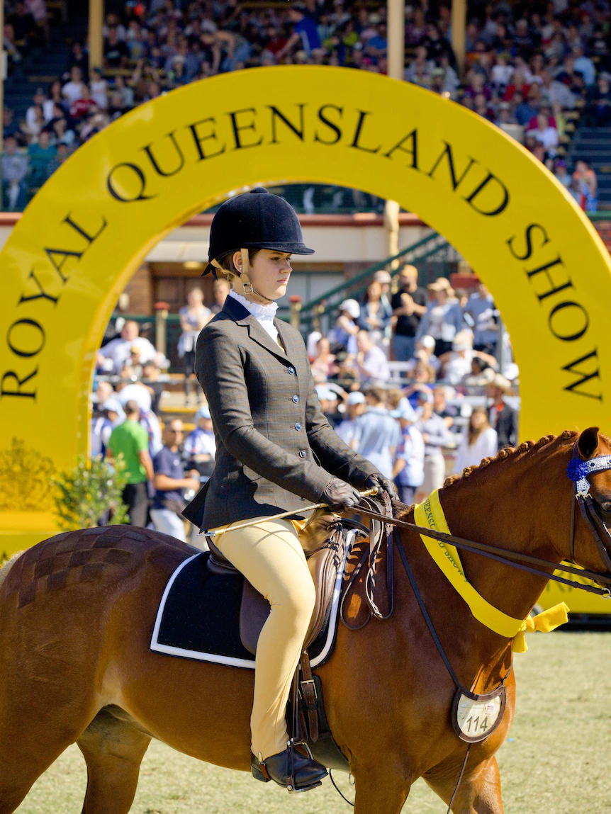 Countdown to Ekka begins after two years of cancellations