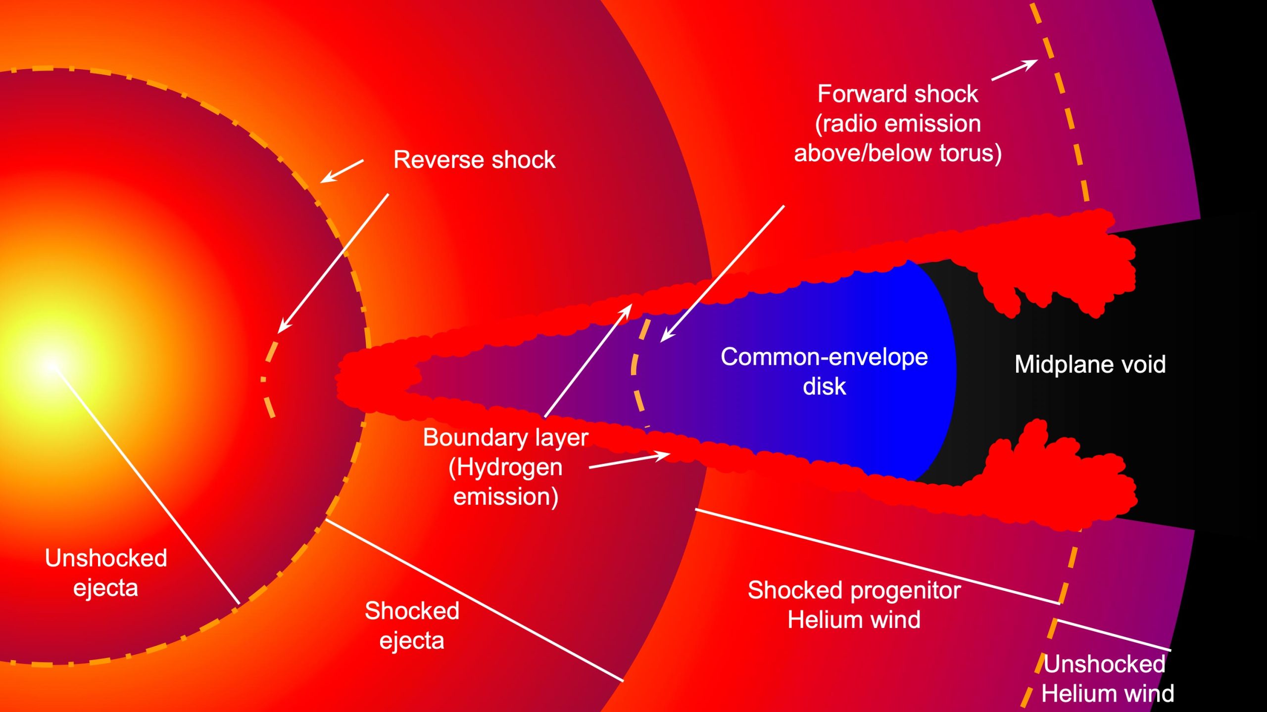 Extraordinary Supernova Reveals Secrets to Astronomers – “A Sort of Time Machine”