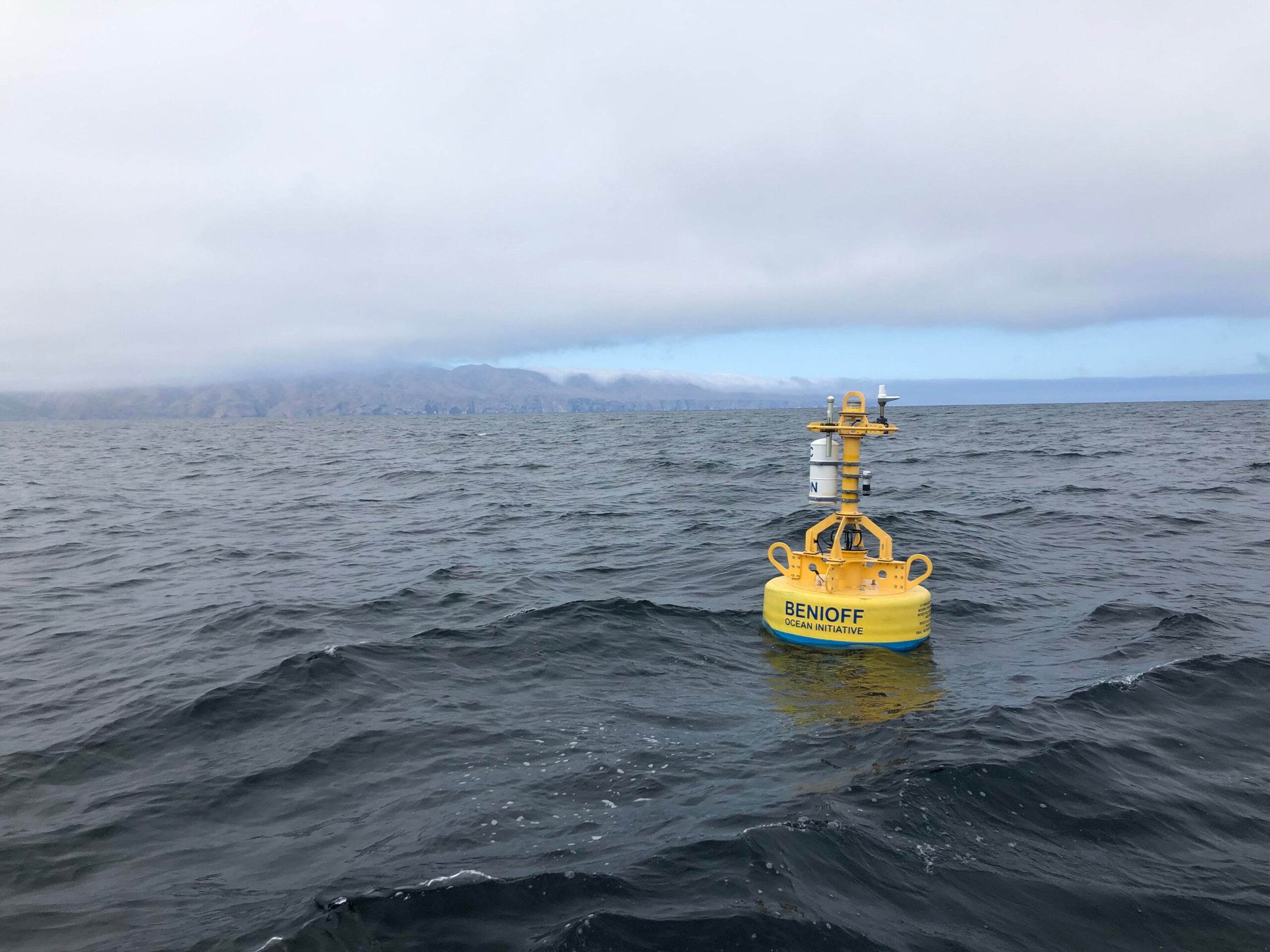 Whale-monitoring robots are oceanic eavesdroppers with a mission