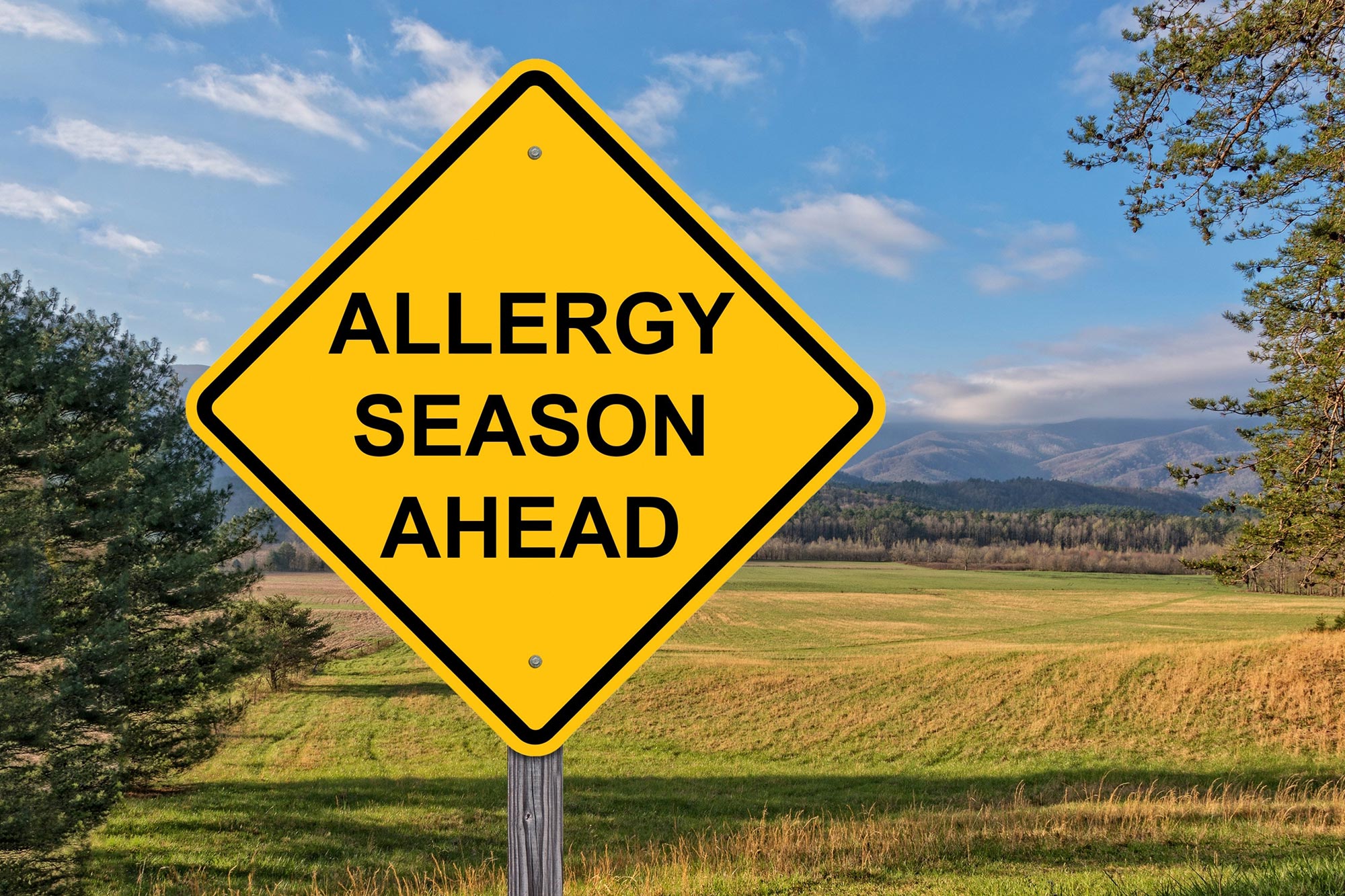 7 Tips for Exercising During Allergy Season