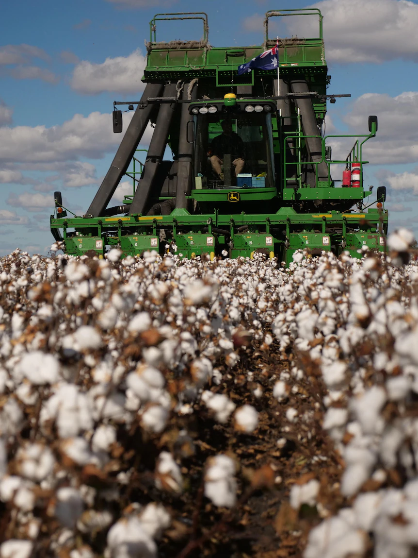 Has the cotton industry finally answered its critics?