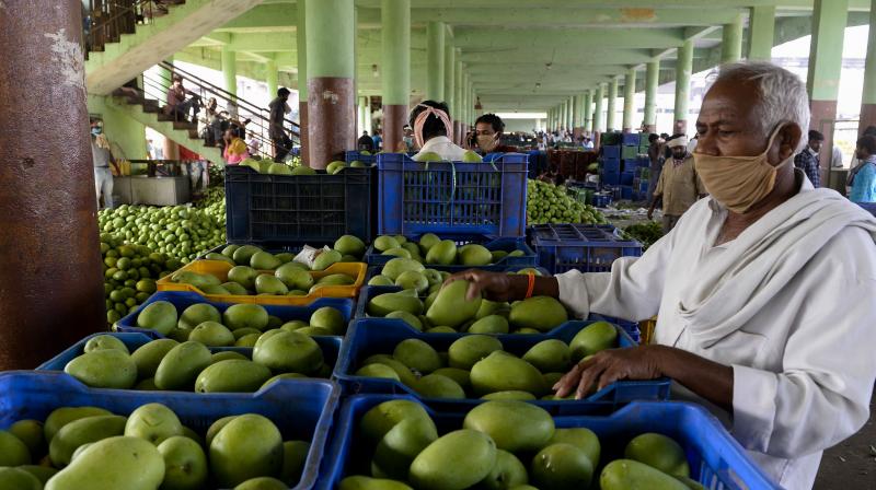 Mango trading turns into sweet again after Covid
