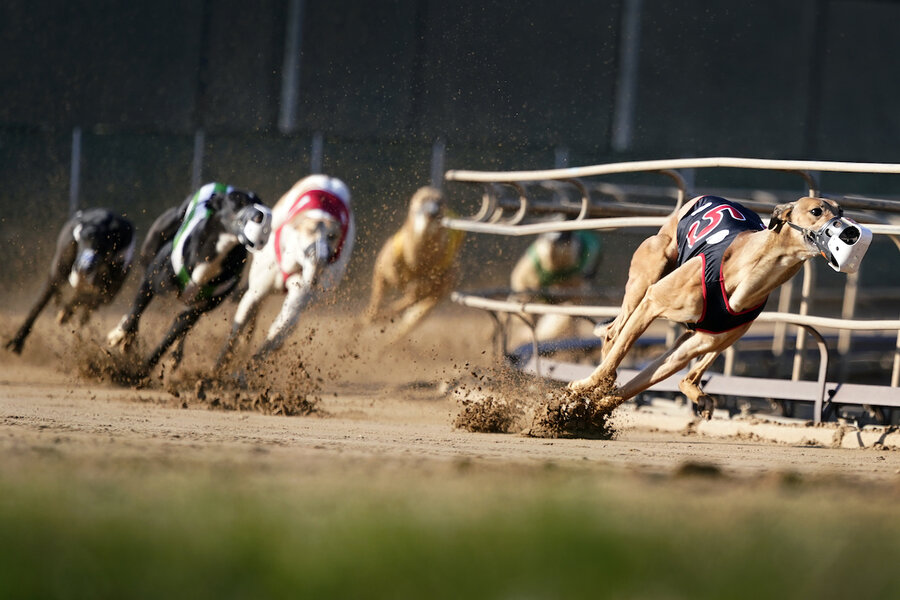 Closing lap? Greyhound racing nears its death in US.