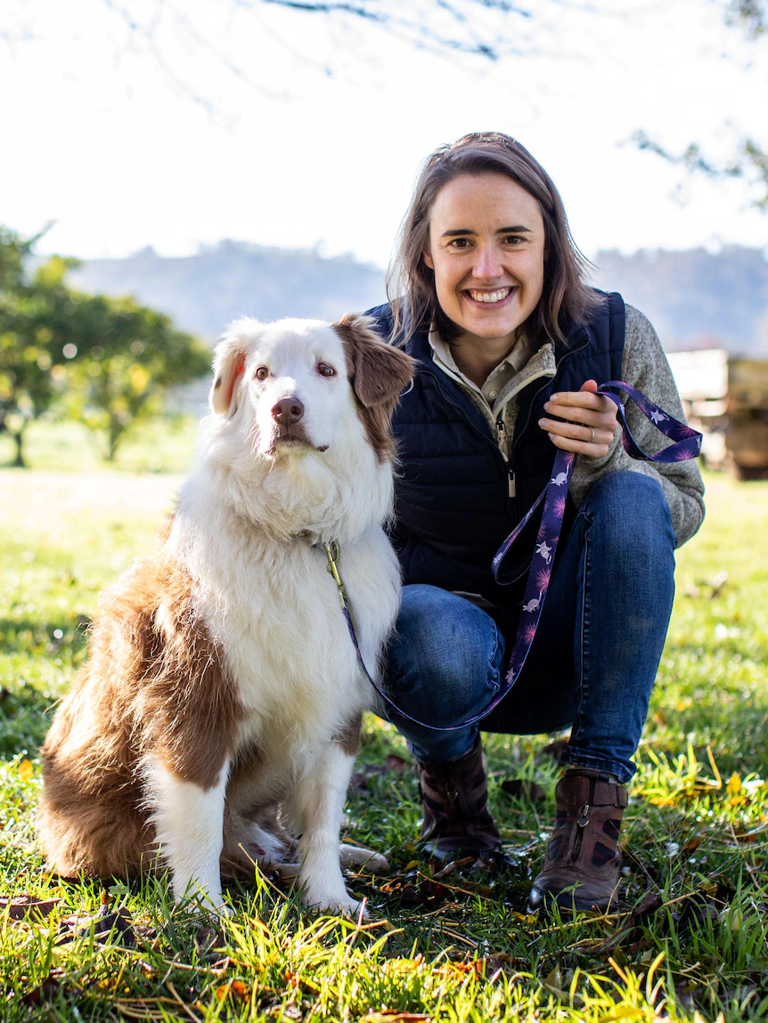 ‘Or no longer it’s some distance the identical as rooster or pork’: Dogs food with surprise ingredient makes sustainable meal
