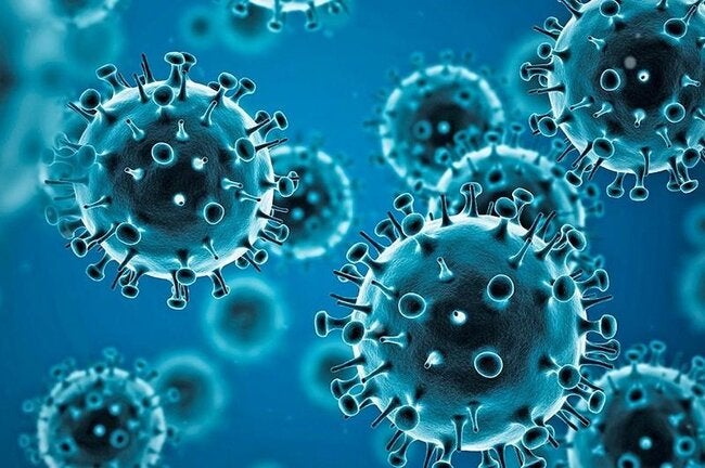 14.9 million extra deaths linked to the COVID-19 pandemic in 2020 and 2021