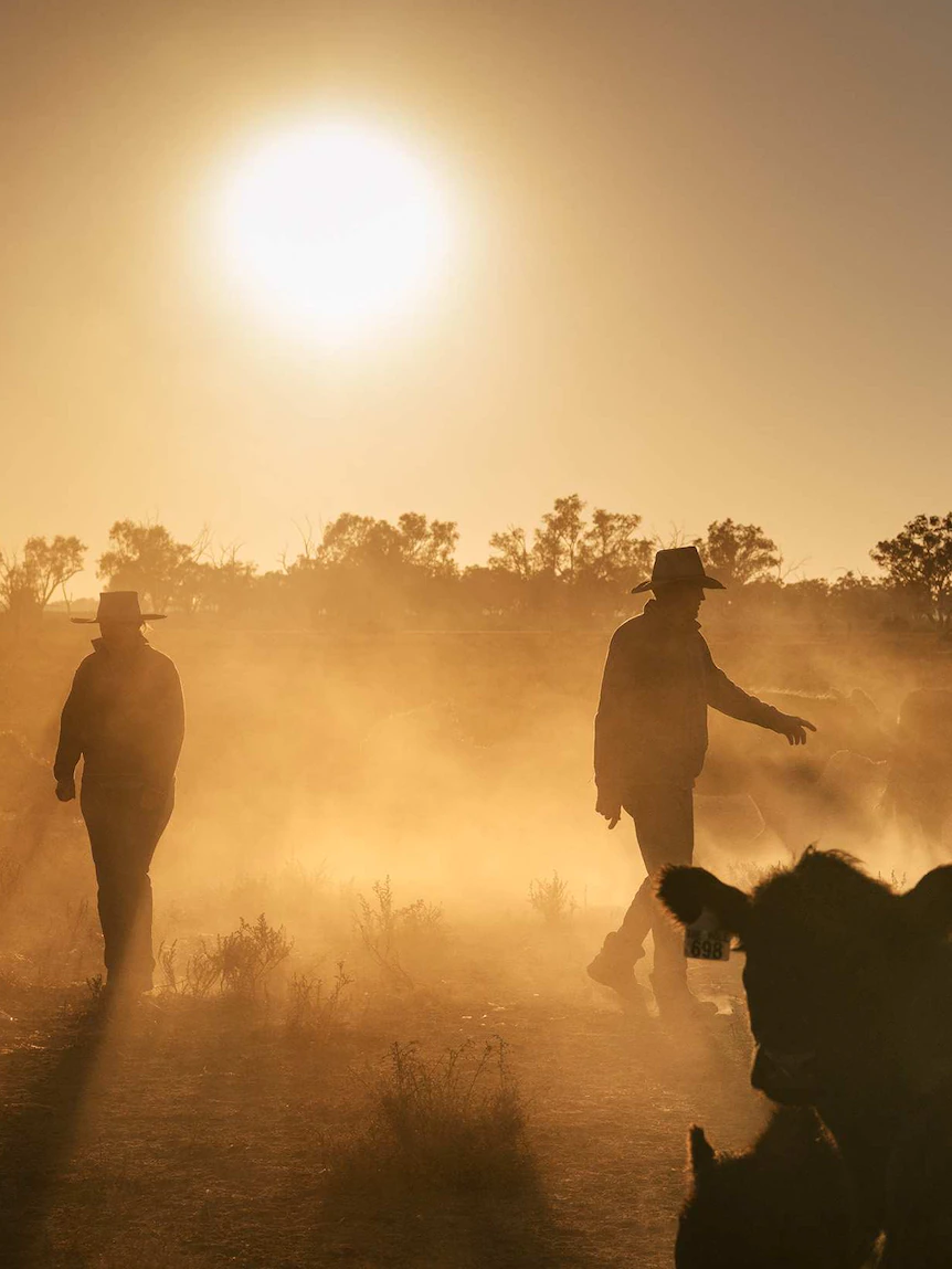 Few fence-sitters when it involves foreign possession of Australian farmland, Vote Compass recordsdata shows