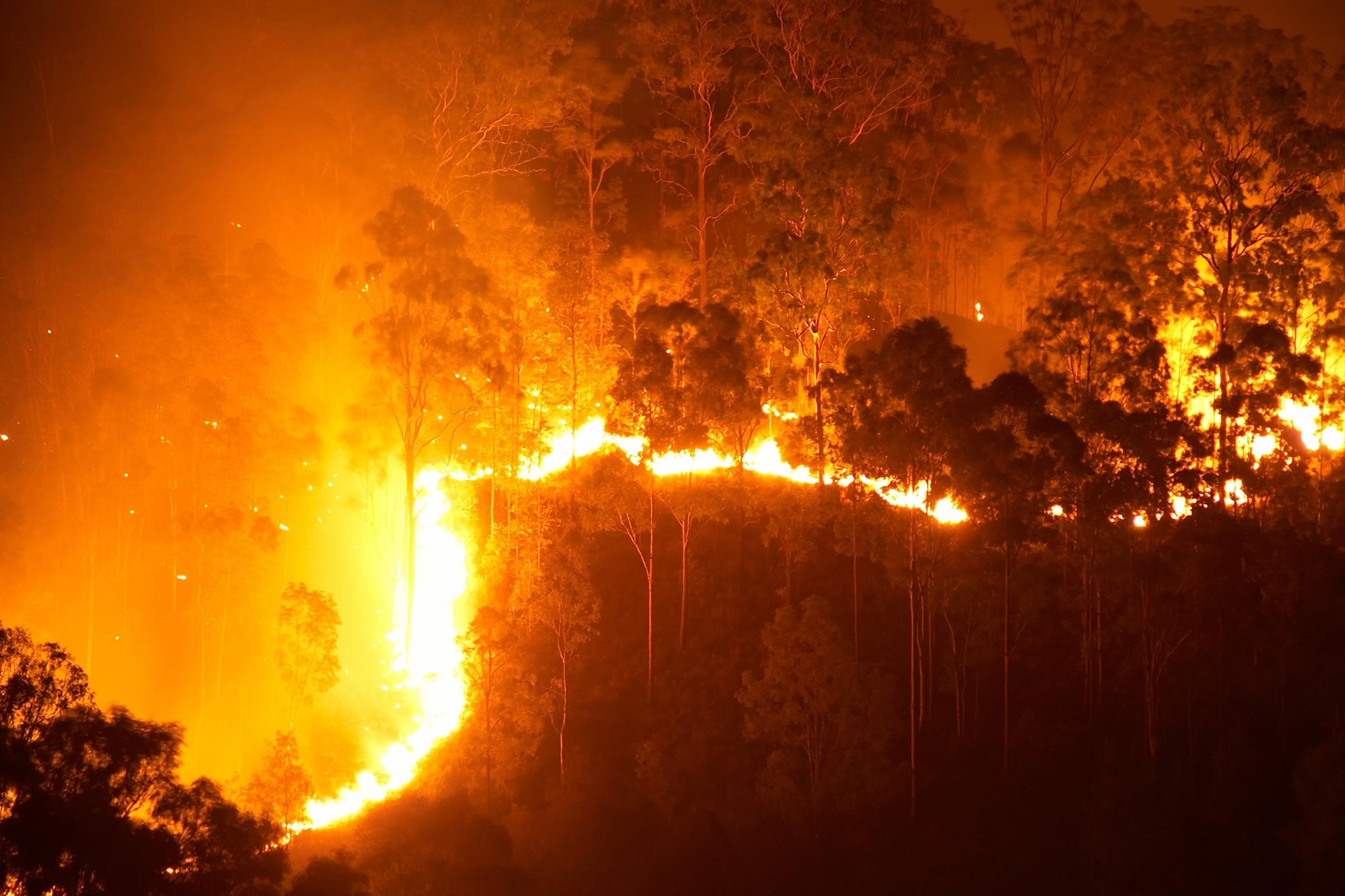 Safe Conservation Areas Seen Dramatic Spikes in Fires At some level of COVID Lockdowns