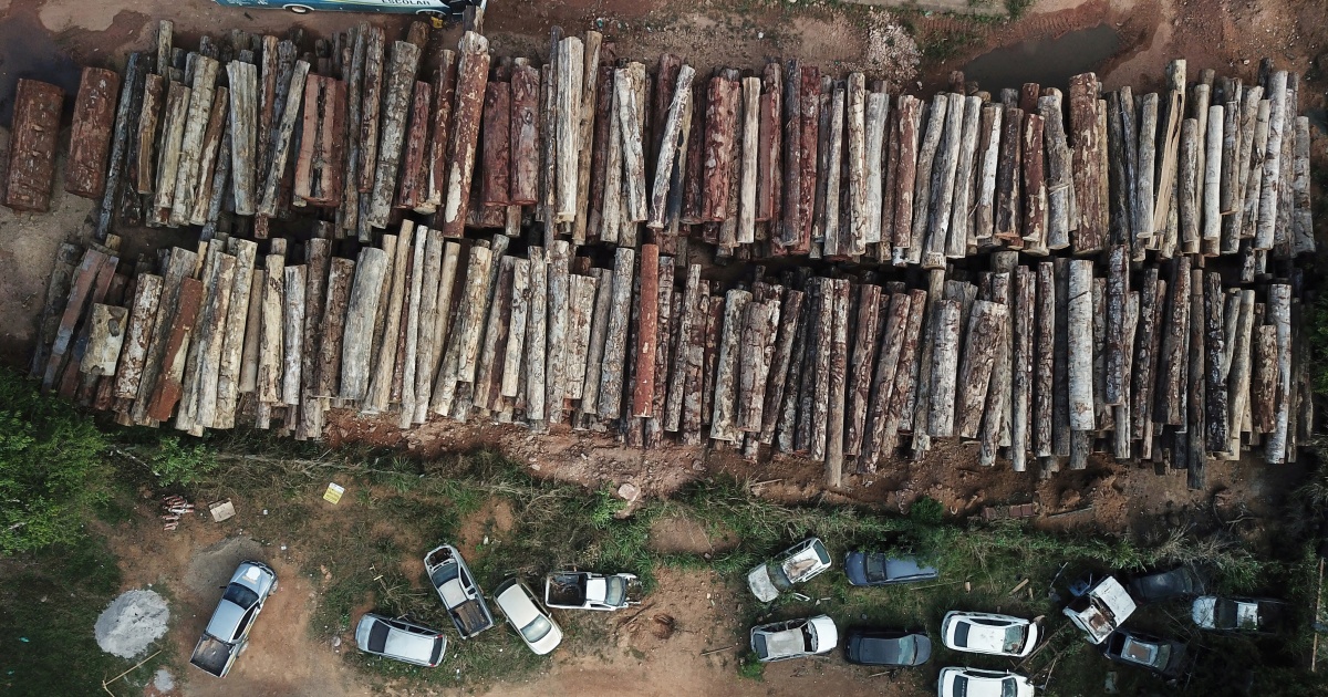 Brazil sets another Amazon deforestation document, prompting dread