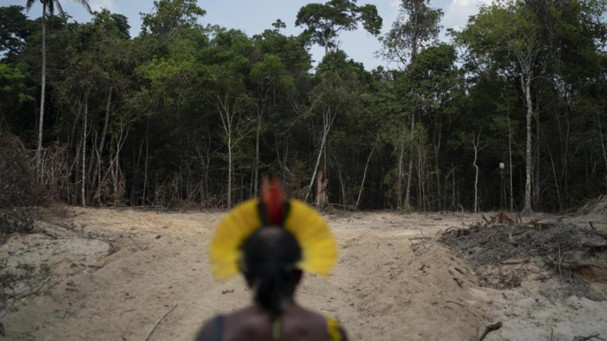 Brazil’s Amazon deforestation surges