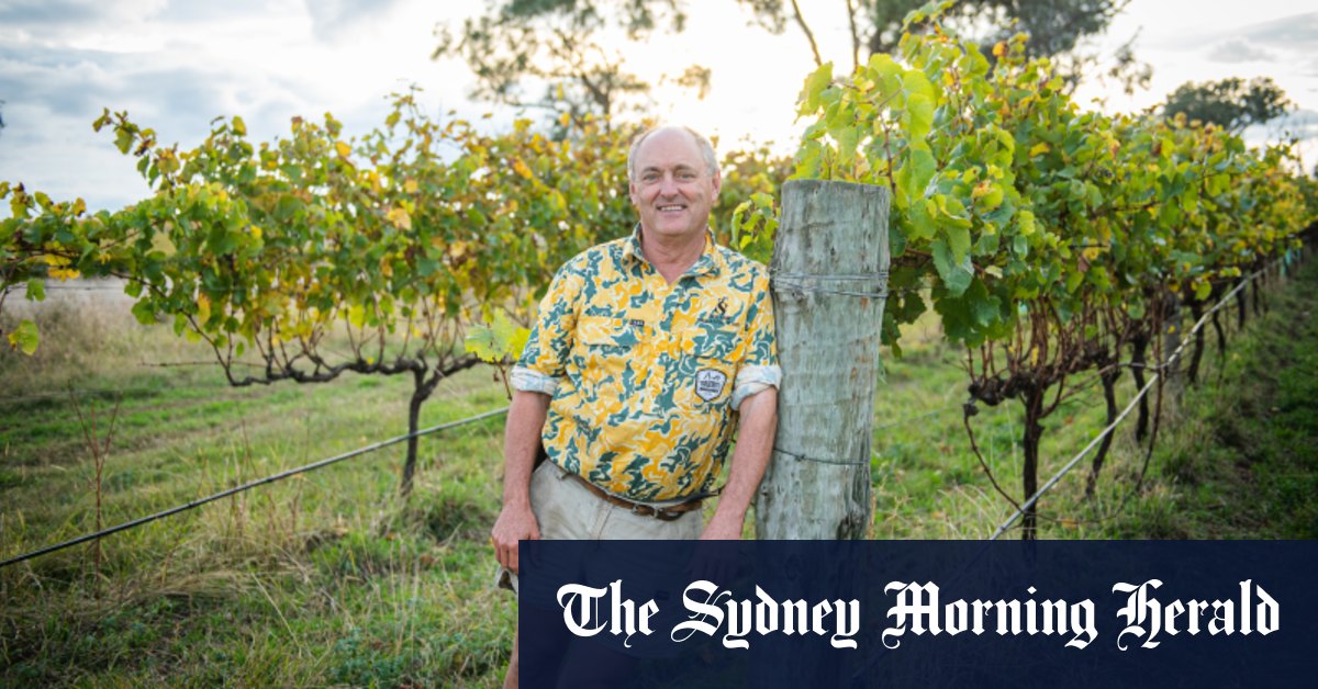 Inform goodbye to chardonnay: Global warming altering the wines Australia can manufacture – Sydney Morning Herald